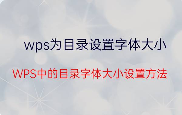 wps为目录设置字体大小 WPS中的目录字体大小设置方法